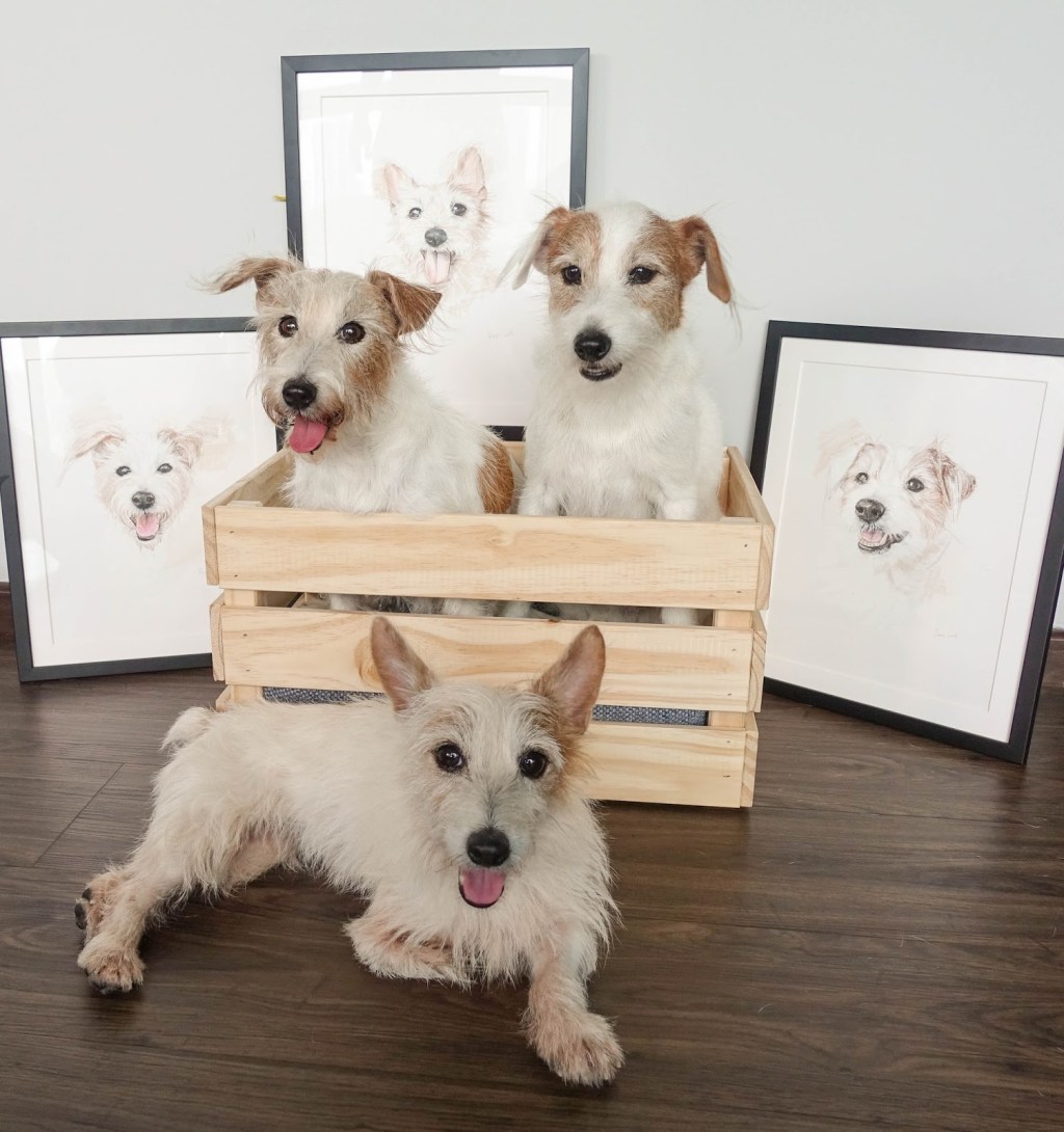 Our Pick: Draw For A&nbsp;Cause