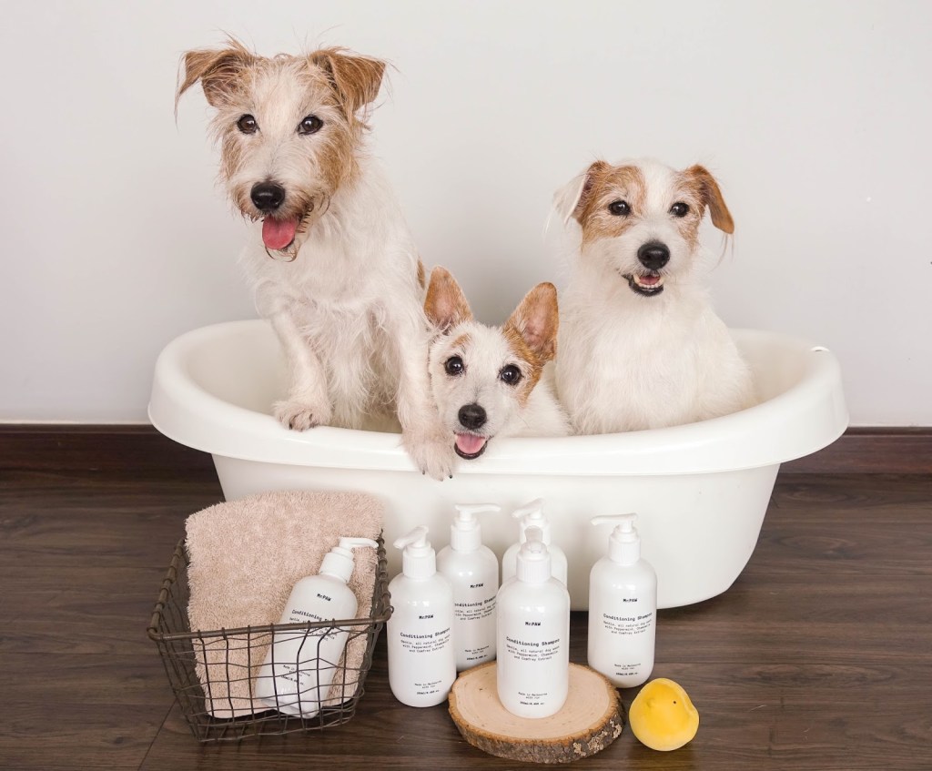 We are the Mr.PAW Singapore&nbsp;Ambassadors!