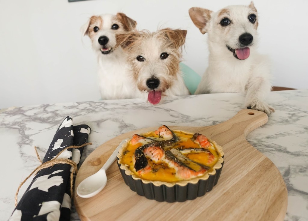 Made with Love: Salmon Tarts for&nbsp;Dogs