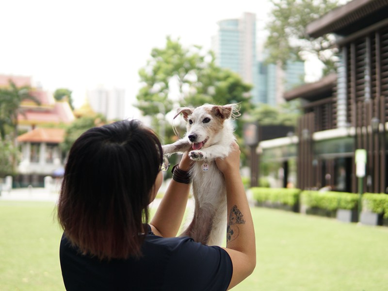 The end of the&nbsp;journey